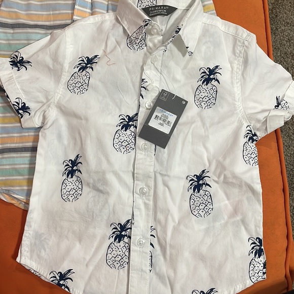 Size 2T 2 short sleeve button down, swimming trunk, sleeveless tank. - Picture 4 of 6